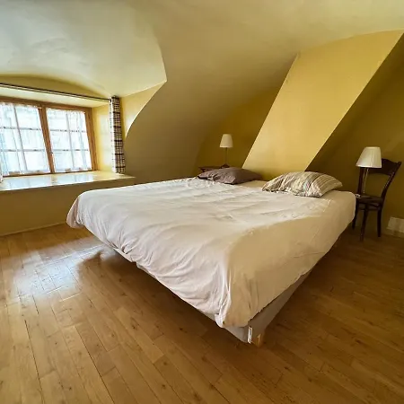 Superbe Appart, Particulier, Coeur De Apartment Dijon